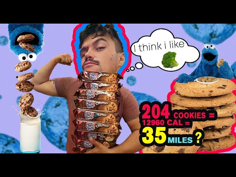 204 chocolate chip cookie challenge Chips ahoy Chunky