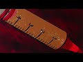The Secret Of NIMH 1982 Animal Experiment Genetics Intelligence