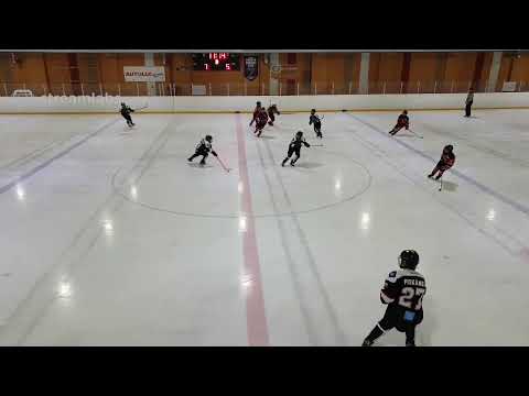 D2 AAA / Jyp Musta - Diskos Punainen / 15.2.2020 klo 18:15 HH1, Hippos