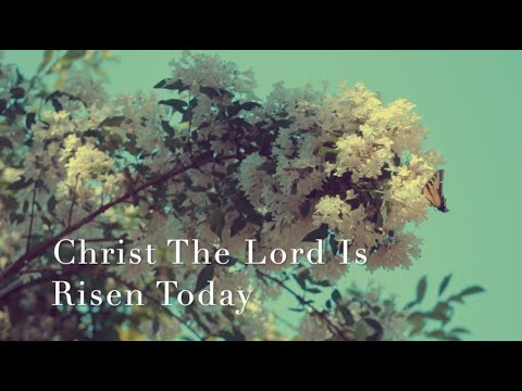 166 SDA Hymn - Christ The Lord Is Risen Today (Singing w/ Lyrics)