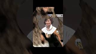 女子アナ人気ランキング #かわいい #女子アナ #江藤愛 #弘中綾香 #有働由美子