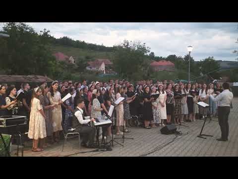 Cor mixt (Bivolăria) - O prieten drag cu pas grabit