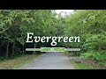 Evergreen - KARAOKE VERSION - as popularized by Barbra Streisand