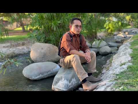 Bông bưởi chiều xưa - Châu Đình An