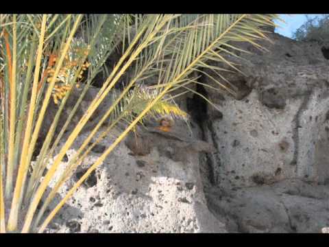 Bani Gheata feat Amelia - Templu Si Pierzatori (sf. Valentin 2011).wmv