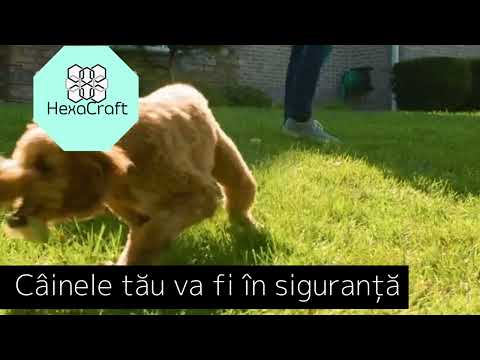 Zgarda electrica cu gard invizibil de delimitare  gard radioelectric  pentru caini, sistem complet