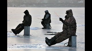 На что ловят берша зимой