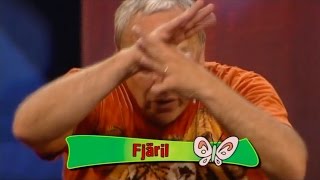 Fjäril - Mora Träsk på Cirkus
