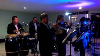 Potencia musical sonora de el palmar en vivo