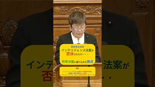 国家情報会議設置法案について　#国民民主党 #野村美穂