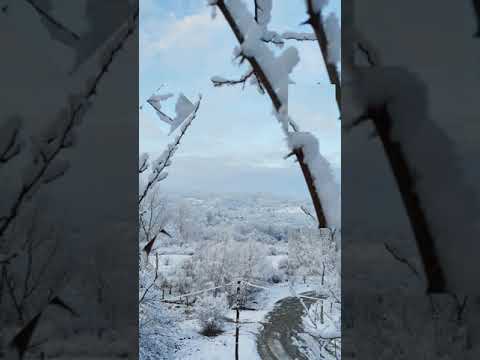 Lunca Frumoasa  taram de vis