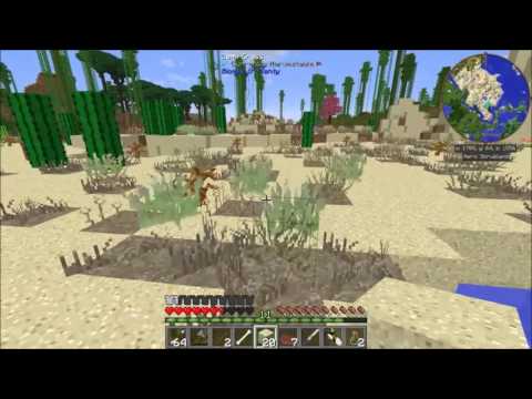 FTB Infinity Evolved Ep19 Egg Farm