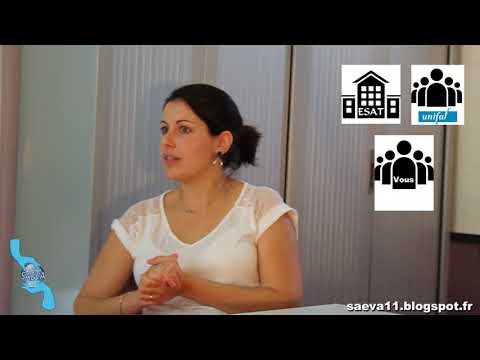 LES FORMATIONS PROFESSIONNELLES SAEVA