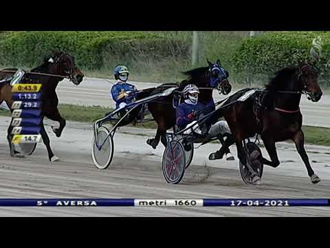 Aversa trotto 17 Aprile 2021 - 5° Corsa