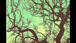 Föllakzoid [LP] (2009) - Föllakzoid