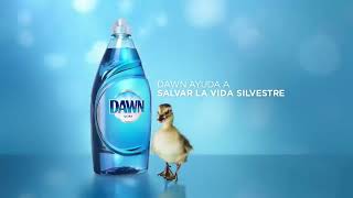 Dawn ~ Ultra ~ Wildlife Better Now ~ Commercial Ad Creative # United States # 2022