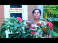Neeye Nirantharam Tamil Christian Song