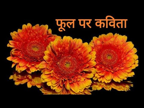 Poem on flowers in Hindi/ flower pr kavita. Aao Hindi Seekhen. "फूल"  विषय पर कविता लिखे। Video