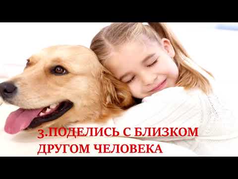 Участник 8871, OgS4KkrPjSE