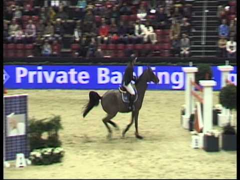 Lacrimoso 3*HDC - CSI 5* Bâle - Epreuve 155 (parcours - 1e) - Janvier 2013
