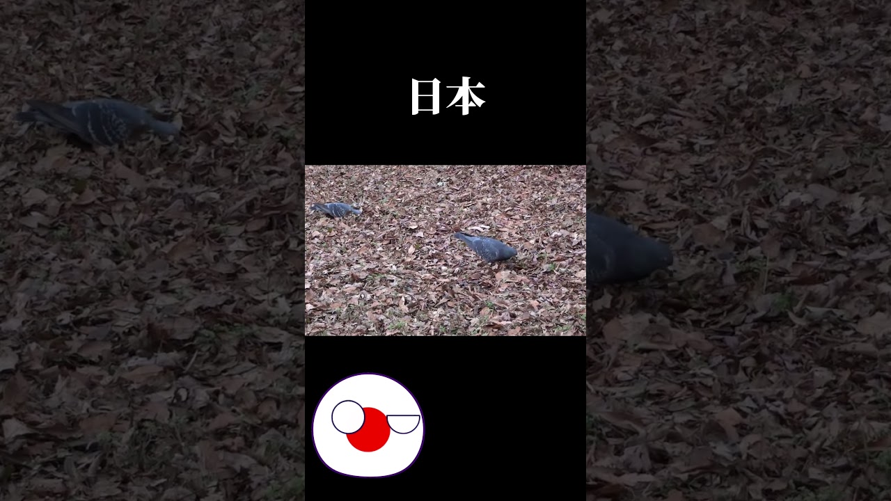 日本とロシアの違い #ポーランドボール #countryballs #おすすめ #おすすめにのりたい #おもしろ動画 #おもしろ #日本 #ロシア #shorts #japan #russia