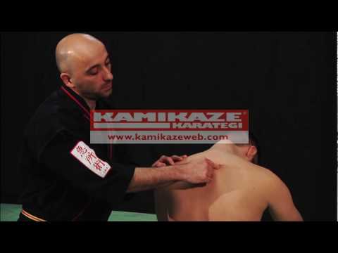 KYUSHO waza l'Art des points vitaux - Serge REBOIS