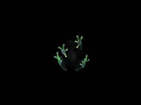 Video thumbnail for TURN OFF THE LIGHTS