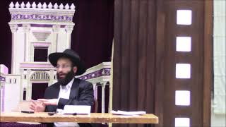 כינוס תורה חול המועד פסח תשפ''א [הרב אלחנן משה נחמנסון]