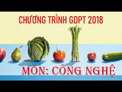 Chương trình GDPT 2018 - Môn Công nghệ
