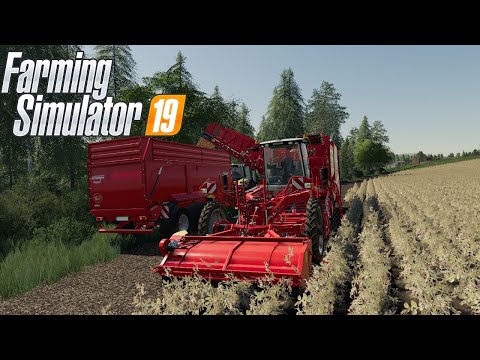 Geiselsberg Farm LS19 | harvest potatoes and clean them up | LS19 Timelaps #001