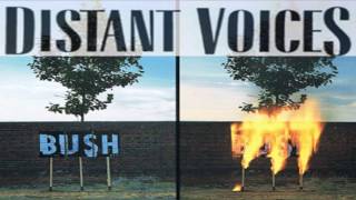 bush distant voices subtitulada