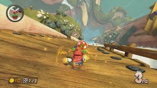  Shy Guy Falls 