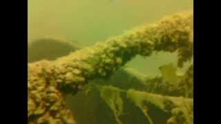 preview picture of video 'Higgins Lake Michigan Scuba Shore Dive July 7 2013'