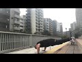 ジャスティス岩倉 腕立て伏せ