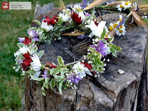 Valentin Moldovan - Recolta mormintelor