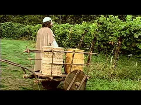 Laborers In The Vinyard