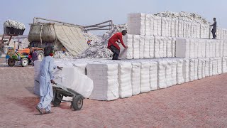 Genius Way They Mass Produce Giant Cotton Bales in Factory