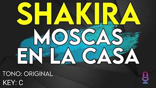 Shakira - Moscas En La Casa - karaoke Instrumental