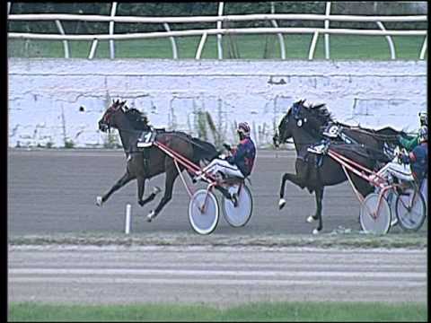 Trotto 02/10/2016 - 2ª corsa