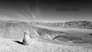 Wall of Voodoo Live at the Whisky 8-1-81 Part 4 of 4