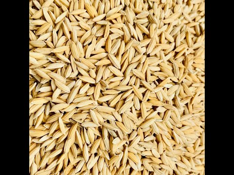 Batch Dryer