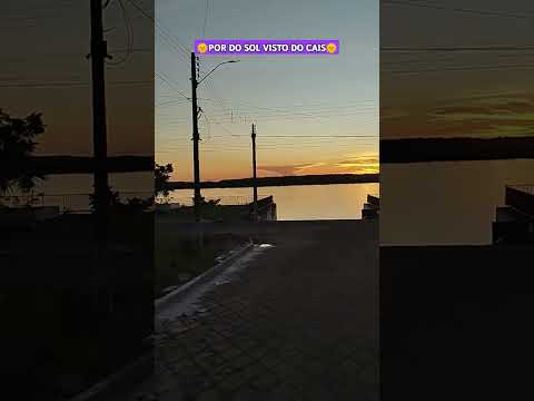 PAU D'ARCO TO🛣️🇧🇷🌻#araguaia #tocantins #norte #musica #natureza