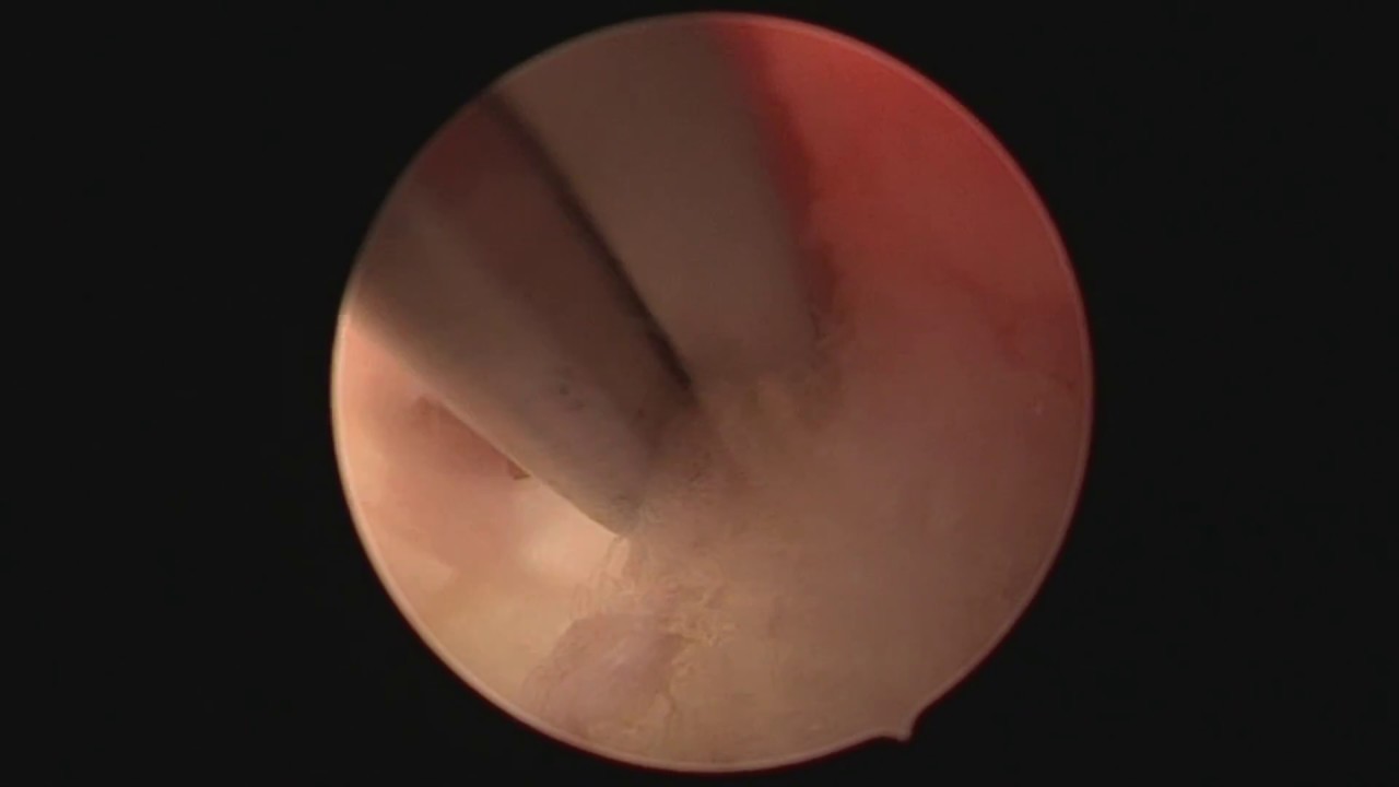 Rodolfo De Moura Carneiro-9