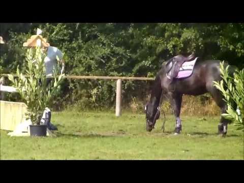 E-stil springen mit krassem Sturz - aua :D