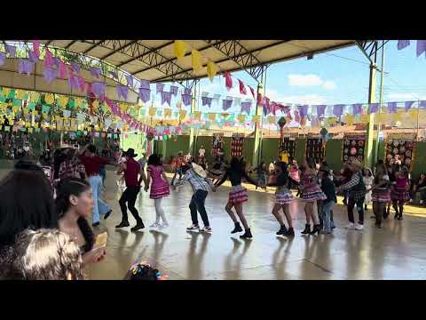 Quadrilha maluca 2024