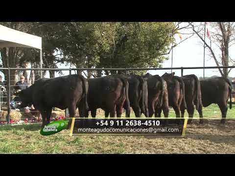 Agenda Ganadera - Diego Zago - 1-9-25