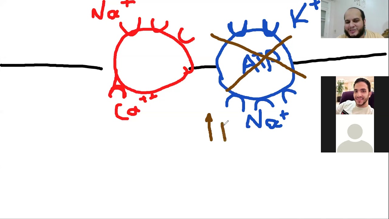 بالعربي cardio vacular 4-A (DR Ibrahem Gamal - TOXIC USMLE ) د ابراهيم جمال -المعادلة الامريكية