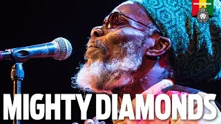 The Mighty Diamonds Live in Holland 2017