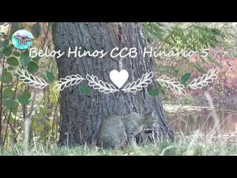 Hino 251 Firme nas mãos de Cristo