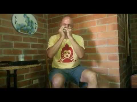Harmonica Reggaeton at Lucho's - Medellin